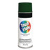 RUST-OLEUM CORPORATION 55271830 Touch'n Tone Spray Paint, Gloss Hunter Green, 10 oz Aerosol Can, 6/Carton