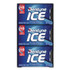 MONDELEZ INTERNATIONAL Dentyne Ice® 22002647 Sugarless Gum, Peppermint Flavor, 16 Pieces/Pack, 12 Packs/Carton