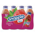 DR PEPPER SNAPPLE GROUP, INC. CAD00775 Flavored Tea, Raspberry, 16 oz Bottle, 24/Carton