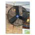 GLOBAL INDUSTRIAL 607050 Oscillating Wall Mount Fan, 3 Speed, 24"