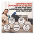 HONEYWELL ENVIRONMENTAL HPA5300B Insight Air Purifier HPA5300B, 500 sq ft Room Capacity, Black