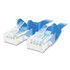 BELKIN COMPONENTS A3L98002BLUS CAT6 UTP Computer Patch Cable, 2 ft, Blue