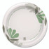 GEORGIA PACIFIC Dixie® UX9WSPK Pathways Soak-Proof Shield Mediumweight Paper Plates, WiseSize, 8.5" dia, Green/Burgundy, 125/Pack