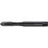 Walter-Prototyp 6743438 Spiral Point Tap: M8x1.25 Metric, 3 Flutes, Plug Chamfer, 6H Class of Fit, High-Speed Steel-E, Vaporisiert Coated