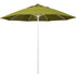 California Umbrella 194061627051 Patio Umbrellas; Fabric Color: Ginkgo ; Base Included: No ; Fade Resistant: Yes ; Diameter (Feet): 9 ; Canopy Fabric: Pacifica