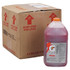 Gatorade® 33977 Liquid Concentrate, 1 gal, Jug, 6 gal Yield, Fruit Punch