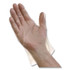 TRADEX INTERNATIONAL AMBITEX® EFSM2000 EconoFit Plus Polyethylene Gloves, Powder-Free, Small, Clear, 200/Box, 10 Boxes/Carton