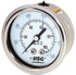 Ametek 165289 Pressure Gauge: 2" Dial, 0 to 30 psi, 1/4" Thread, NPT, Center Back Mount