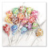 SPANGLER CANDY COMPANY 60 Dum-Dum-Pops, Assorted Flavors, Individually Wrapped, 300/Pack