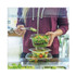WORLD CENTRIC RDCS32 PLA Rectangular Deli Containers, 32 oz, 6.1 x 7.6 x 2.8, Clear, Plastic, 600/Carton