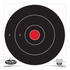 Birchwood Casey BC-35012 Dirty Bird 12 Inch Bull's-Eye Target