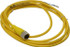 Brad Harrison 803000A09M020 4 Amp, M12 Female Straight to Pigtail Cordset Sensor and Receptacle