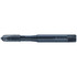 Walter-Prototyp 6149651 Spiral Point Tap: M4x0.7 Metric, 3 Flutes, Plug Chamfer, 6H Class of Fit, High-Speed Steel-E, Vaporisiert Coated