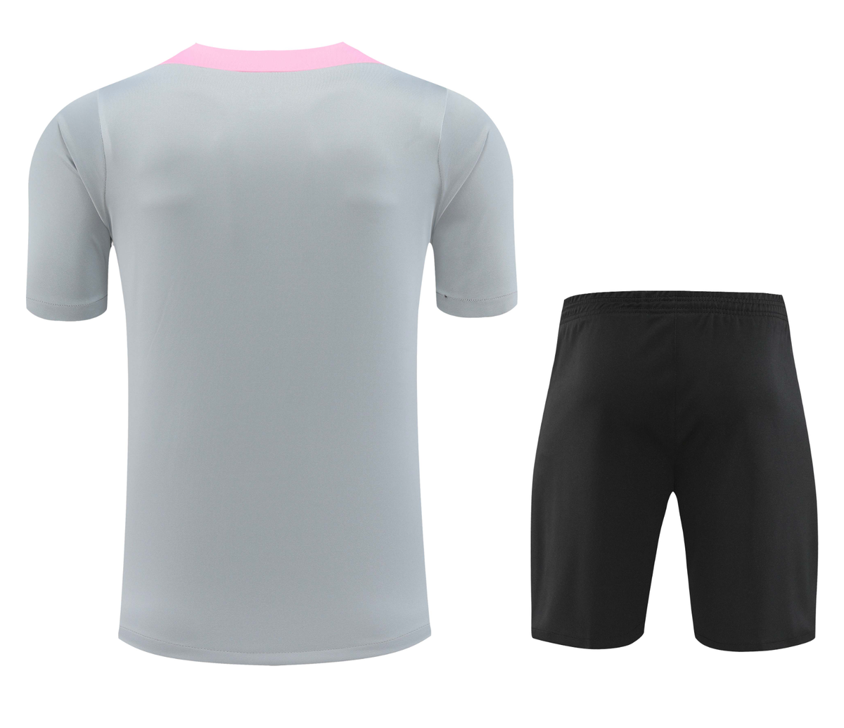 Paris Saint-Germain 24/25 Men's Gray Training Shirt