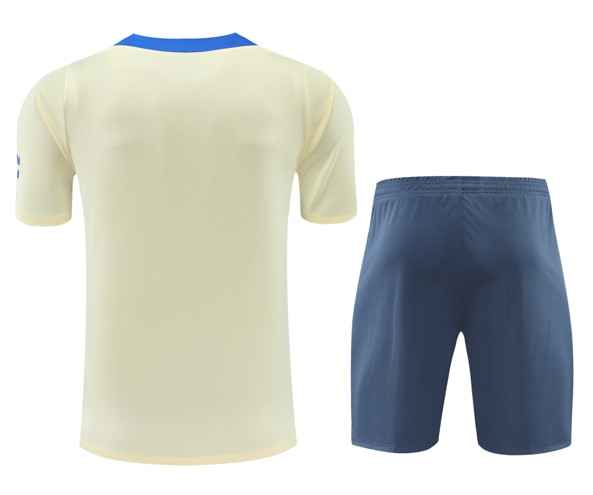 Inter Milan 24/25 Men's Light Yellow Training Shirt