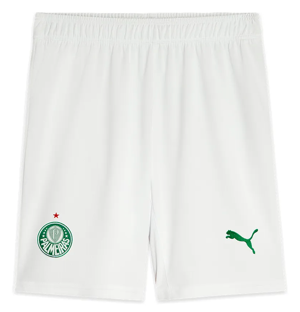 Palmeiras 25/26 Authentic Men's Home Shirt