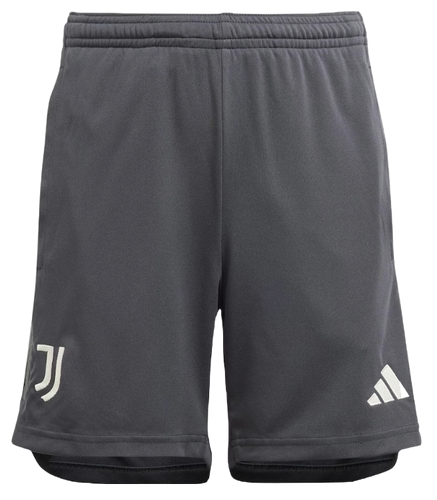 Juventus 23/24 Authentic Men's Third Shirt