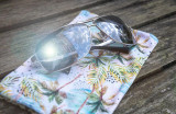 soft sunglasses case for the beach