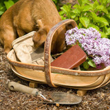 Brown embossed leather folio wallet case iPhone 6S