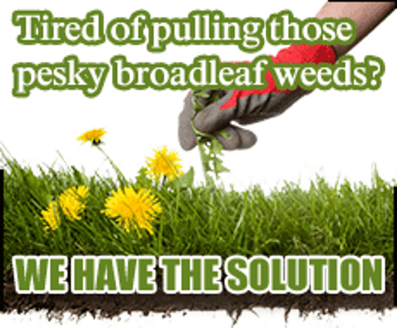 Selective Herbicides Selective Herbicides