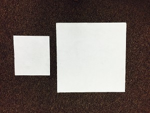 Absorbent Pads