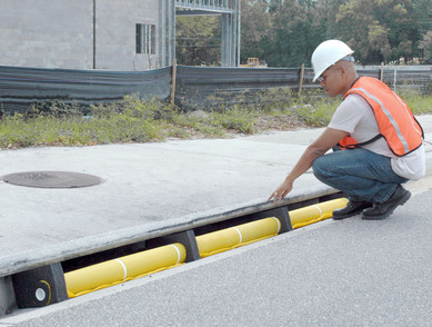 Curb Guard Plus