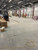 Preparation of floor surface for Non-Skid Coating