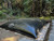 Non Potable Water Pillow Bladder