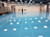 Polyurethane Top Coat