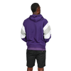 Unisex Lifestyle Splice Hoodie