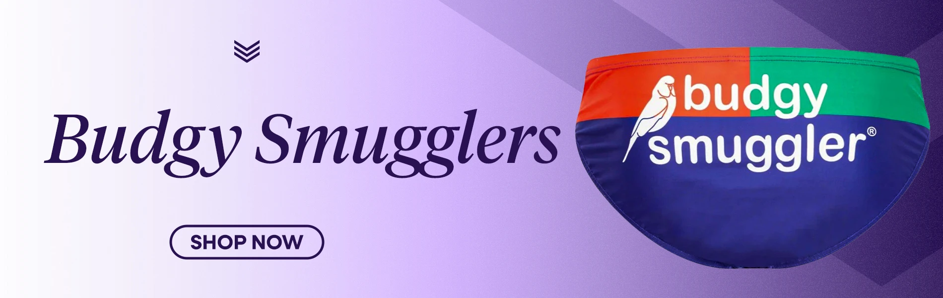 Budgie Smugglers