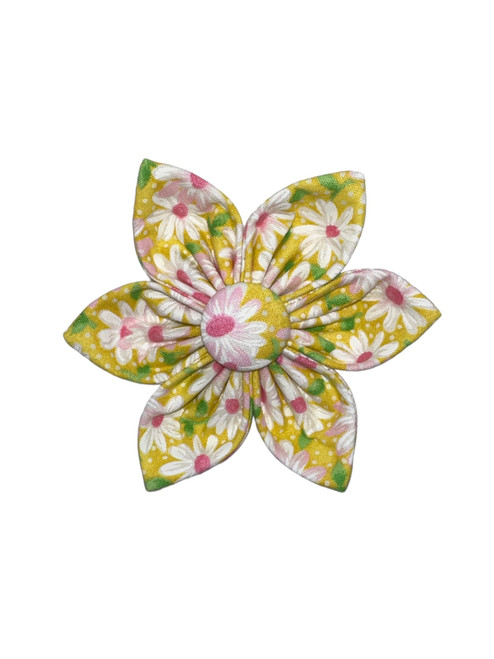 Daisy's Flower Daisy's Flower