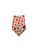 Pumpkin Patch Dog Bandana