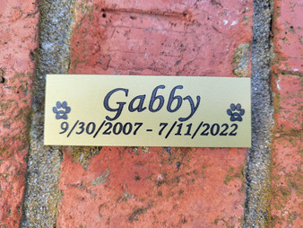 Pet Memorial Name Plate, Memorial Nameplate, Dog Memorial, Cat Memorial, Trophy Plate, Plaque Plate, Blue Name Plate