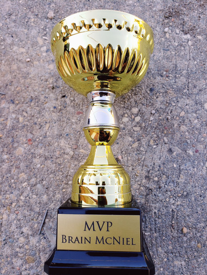Personalized Engraved 7" Gold & Silver Metal Cup Trophy, Award Trophy, Sports Trophy