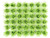 GM149 OO PLANTS 12MM GREEN (42)