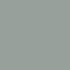Puritan Gray Color Pigment