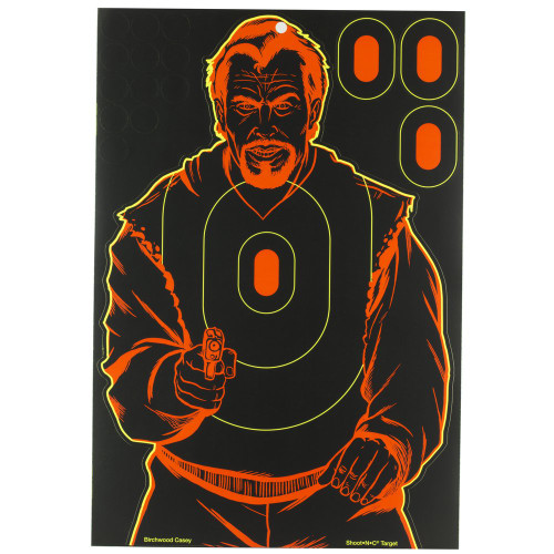 Birchwood Casey Shoot-N-C - Target, 12"x18"
