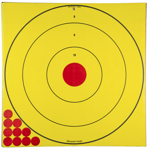 Birchwood Casey Shoot-N-C - Target, 17.75"x17.75"