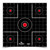 Birchwood Casey Dirty Bird - Target, 12", Sight-In