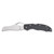 Spyderco Gooney - Folding Knife, Plain, 3.46", Silver