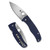 Spyderco Bodacious - Folding Knife, Plain, 3.63", Silver