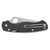Spyderco Para Military 2 - Folding Knife, SpyderEdge, 3.47", Silver (2)