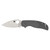 Spyderco Sage 5 - Folding Knife, Plain, 3", Gray, Silver