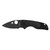 Spyderco Lil Native - Folding Knife, Plain, 2.43", Black