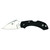 Spyderco Dragonfly 2 - Folding Knife, Plain, 2.25", Silver