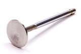 Exhaust Valve