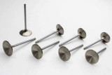 SBC R/M 2.020in Intake Valves