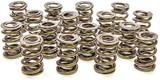 1.550 Dual Valve Springs (16)
