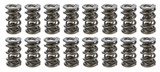 1.645 Triple Valve Springs (16)